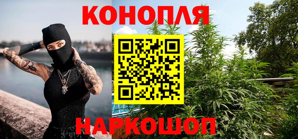 Бошки Шишки гибрид  Вход с VPN  Конопля конопля  Марихуана Amnesia  Севастополь 